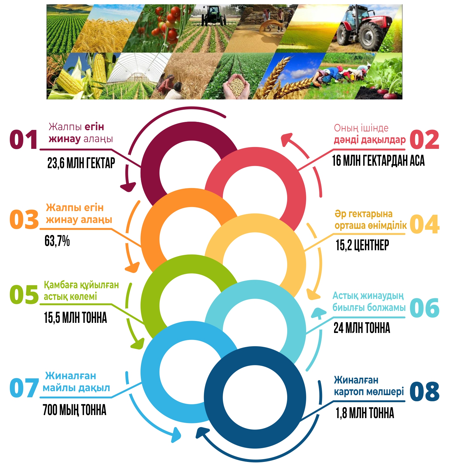 Mańyzdy mindetter – Úkimet nazarynda