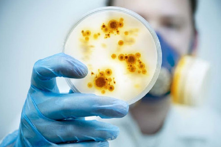 Elimizde juqpaly aýrý edáýir azaıdy