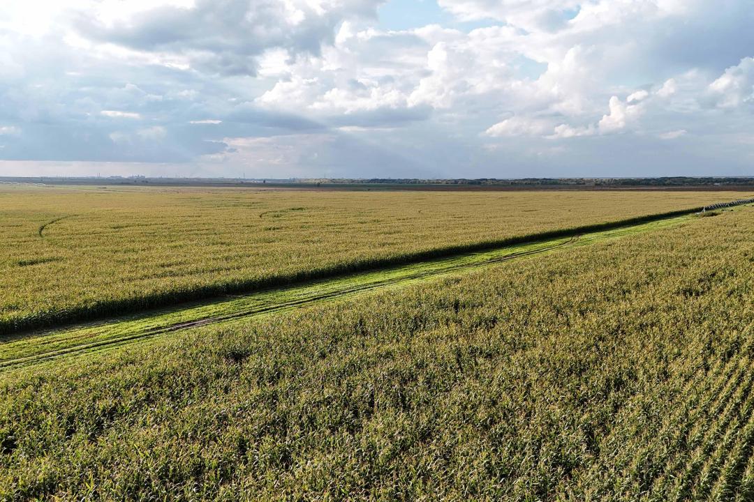 О́risten dúkenge deıin