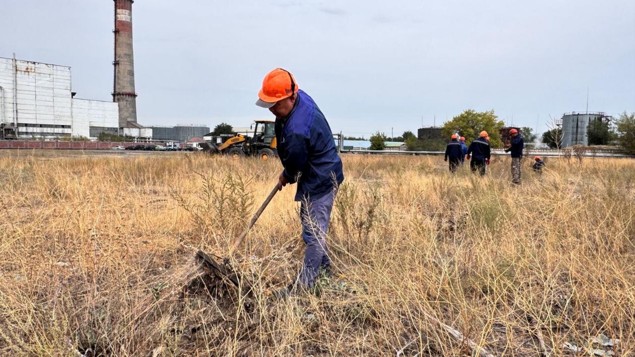 Tazalyq jumysy jalǵasady