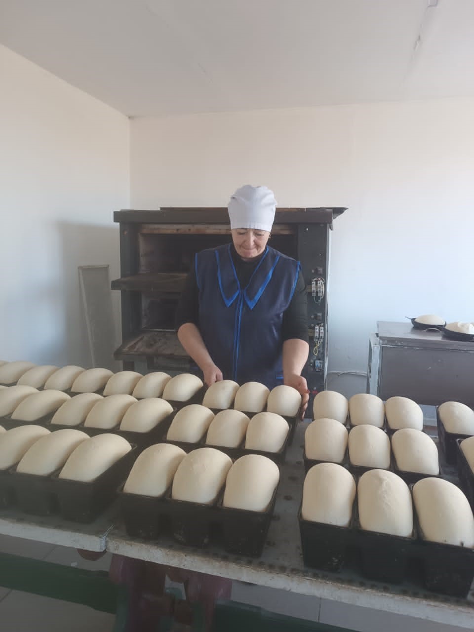 Mamandyǵyna adal naýbaıhanashy