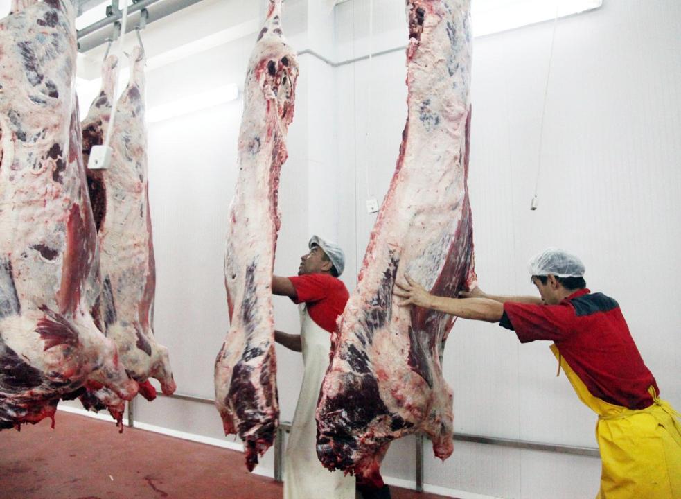 Segiz elge et eksporttalǵan