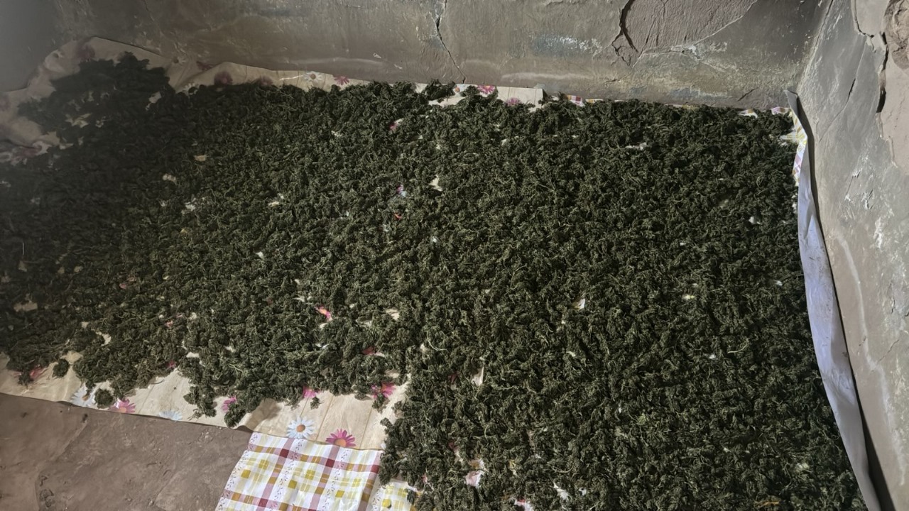 Qyzylordada iri esirtki alqaby joıyldy