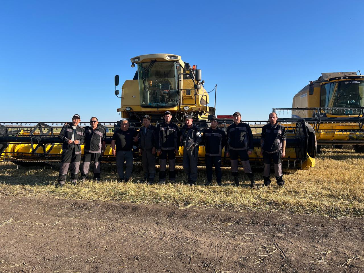 Astyqty alqaptaǵy qaýyrt qımyl