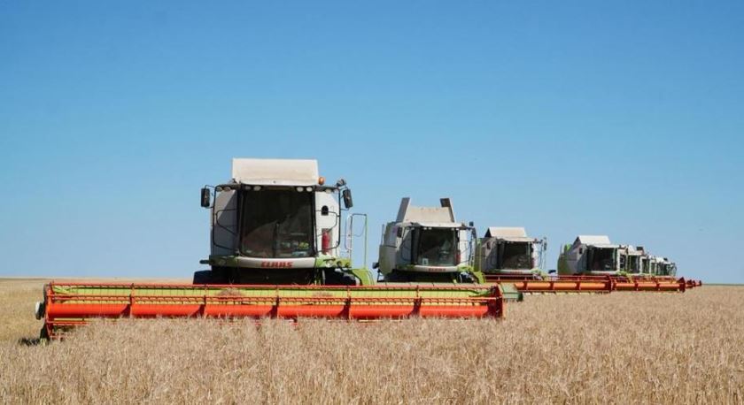 Aqmola astyqtan rekord jańartýǵa daıyn