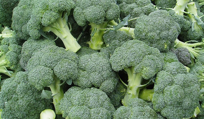 Atyraýda ósirilgen brokkolı