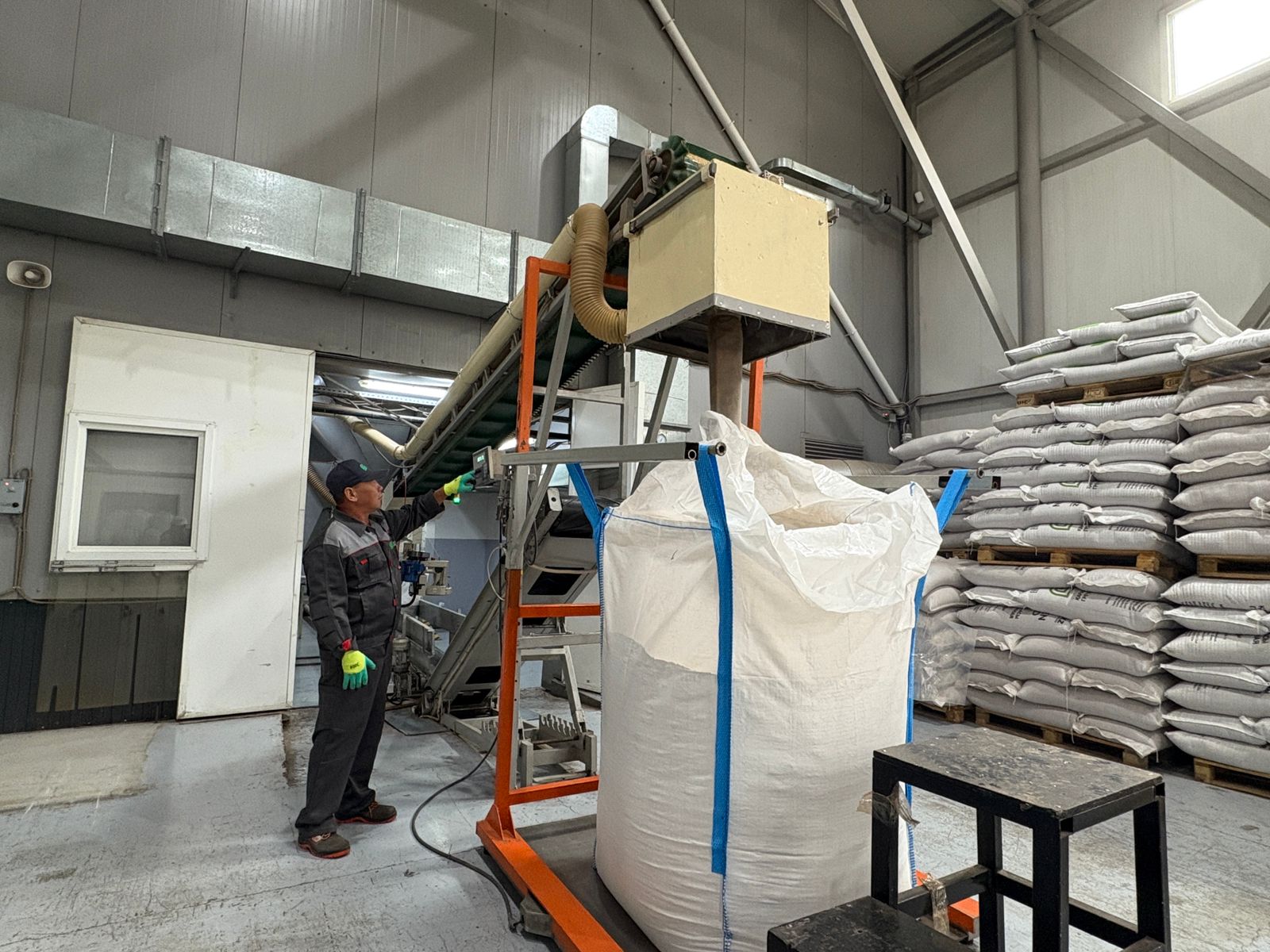 Sapaly qaraqumyqqa suranys joǵary