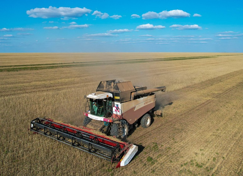 Importqa táýeldilik azaısa ıgi