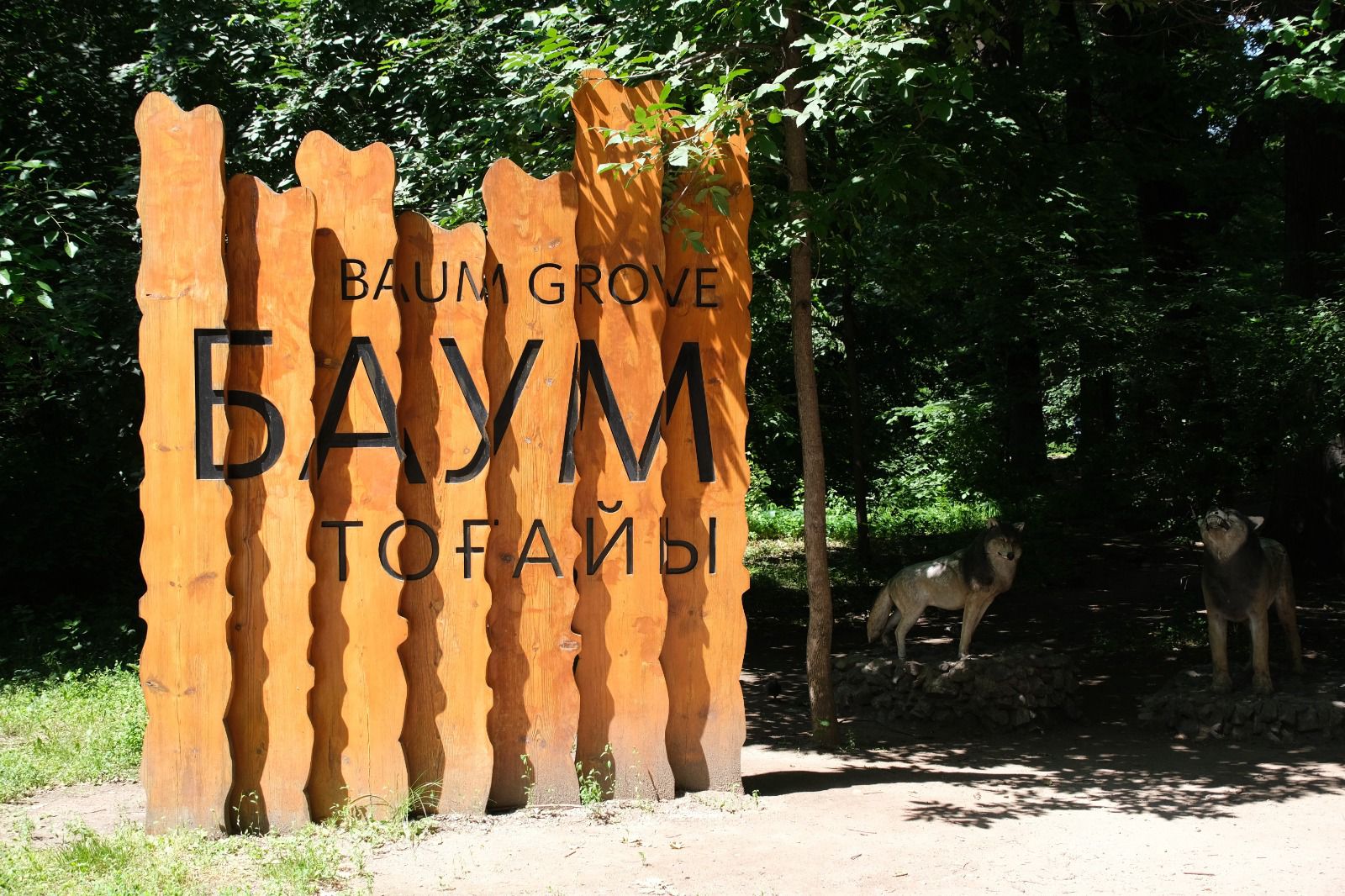 Baým toǵaıynda birde-bir aǵash kesilmeıdi