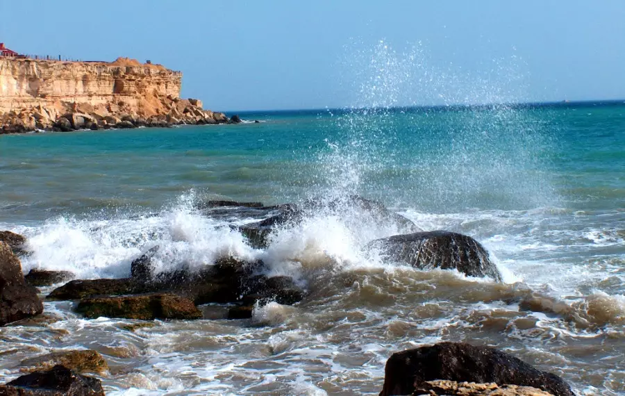 Kaspıı teńiziniń ahýalyn jaqsartýǵa basa mán berýimiz kerek - Prezıdent
