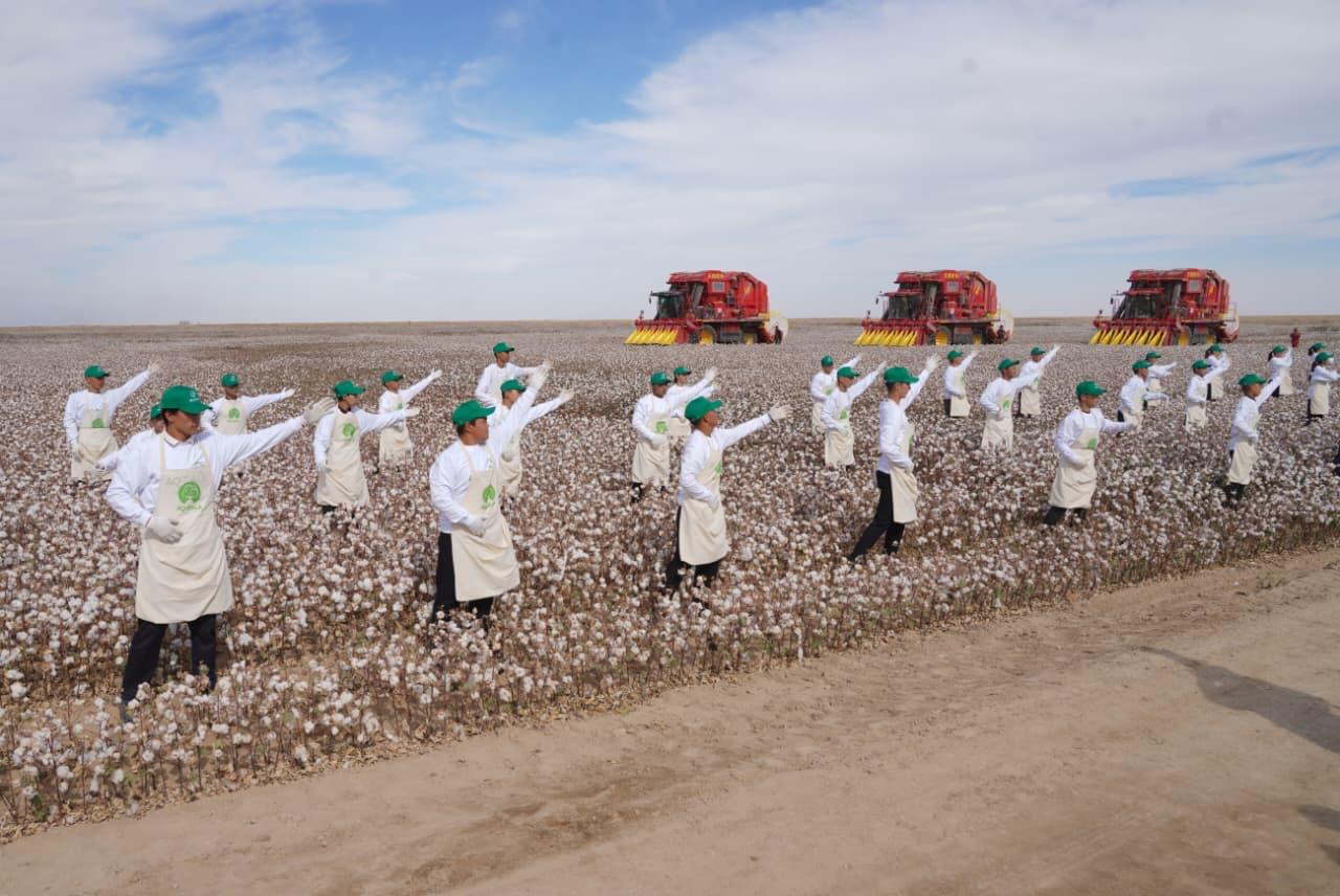 Túrkistan oblysynda maqtashylardyń aýqymdy festıvali ótti
