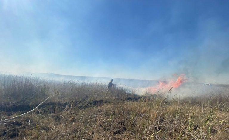 Atyraý oblysynda 30 gektarda qamys qopasy byqsyp jatyr