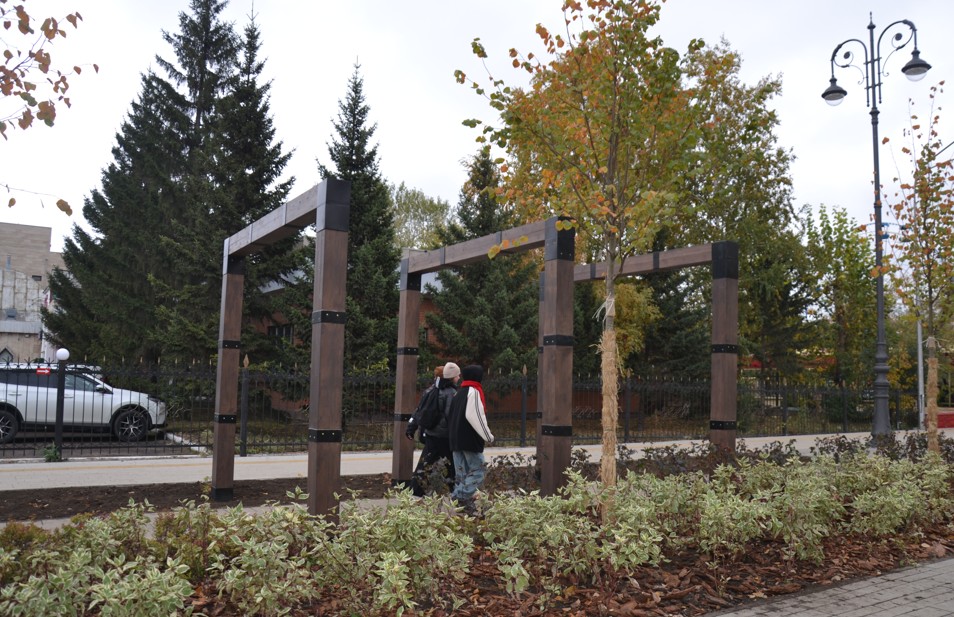 Kókshedegi «Kók shalǵyn»