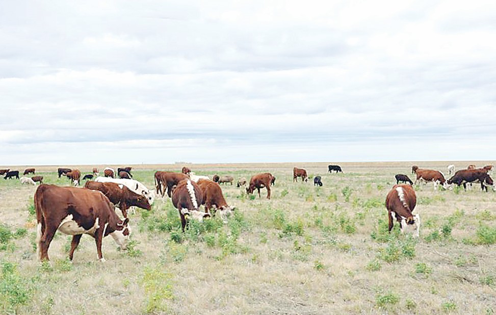 Jaıylym jaıy alańdatady