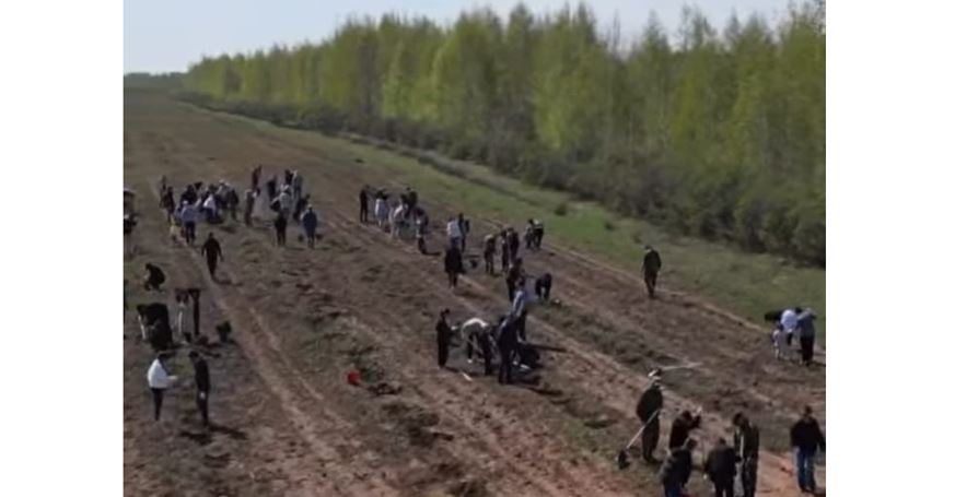 О́ńirlerde kúzgi aǵash otyrǵyzý jumystary bastaldy