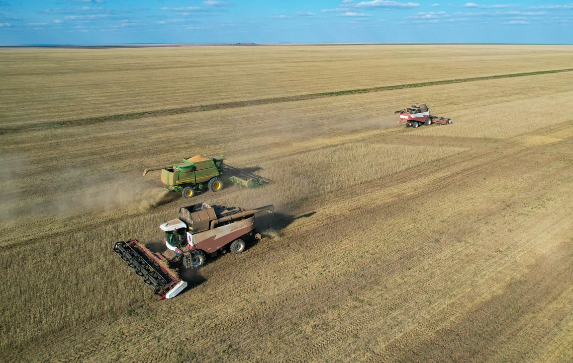 Eginjaıdaǵy eńbek yrǵaǵy