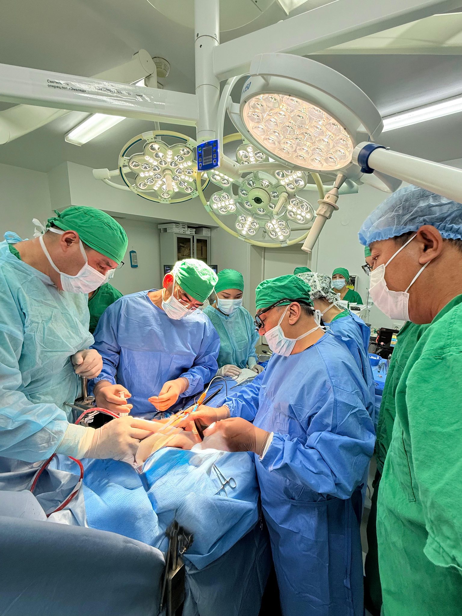 Túrkistan oblysynda uly anasyna donor boldy