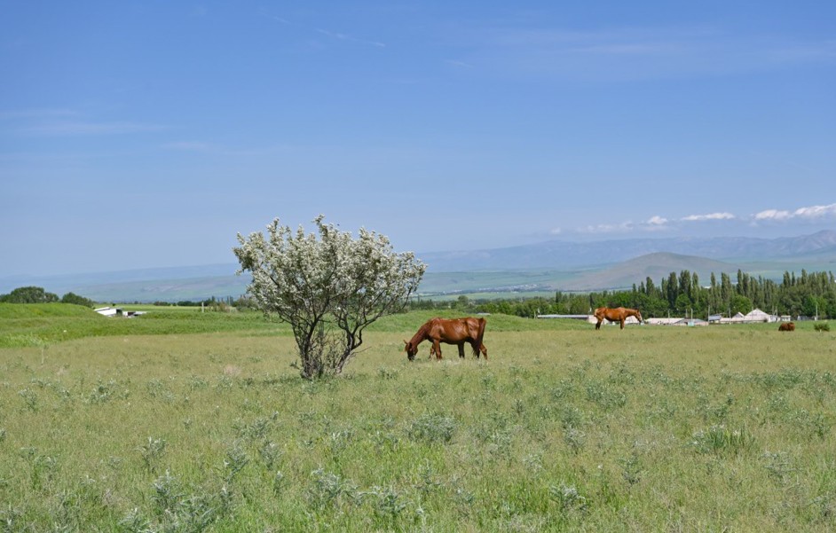 Jerdi tıimdi paıdalanýdyń ózektiligi