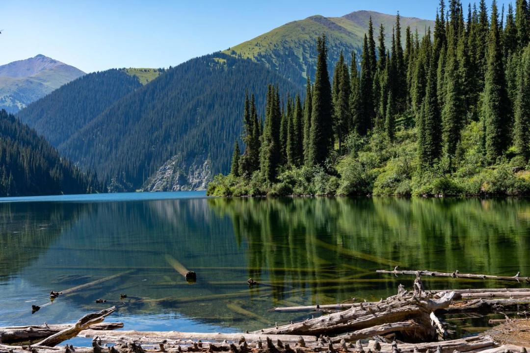 Ekologııa vedomstvosy P.Dýrovqa qatysty málimdeme jasady