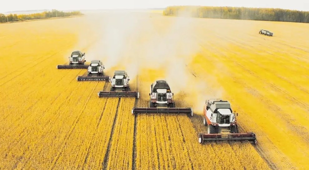 Jaýapty naýqan aıaqtalýǵa jaqyn