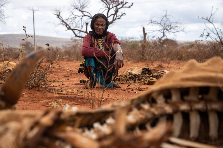 Álemde ashtyq qaýpi kúsheıdi