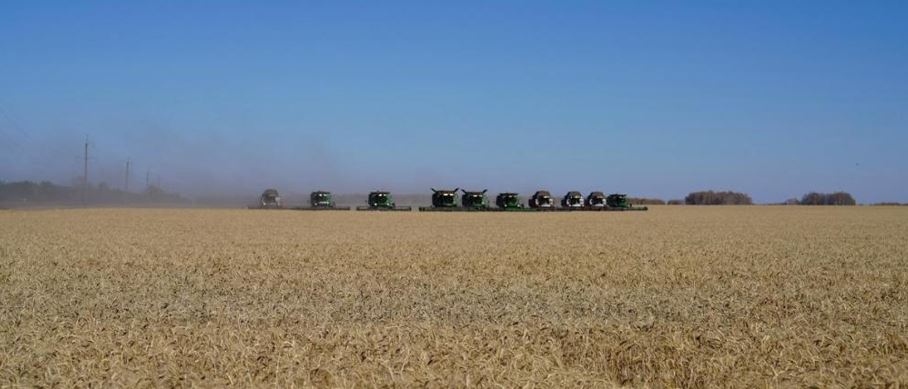 SQO-da oraq naýqany aıaqtalýǵa jaqyn