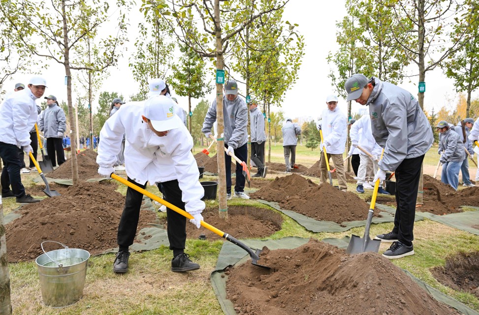 Qorshaǵan orta men jurtshylyq mádenıetiniń úılesimi