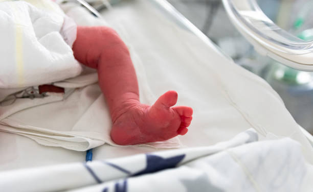 Elimizde sábı ólimi 20,2%-ǵa tómendedi