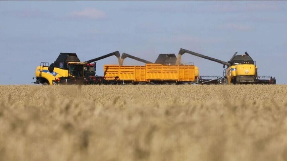 Jıyn-terim jalǵasyp jatyr