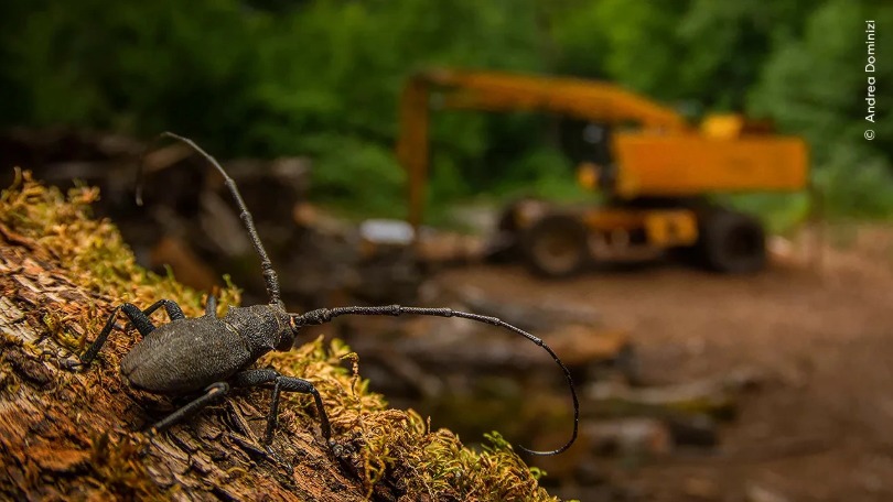 Tabıǵat ne bop barady?