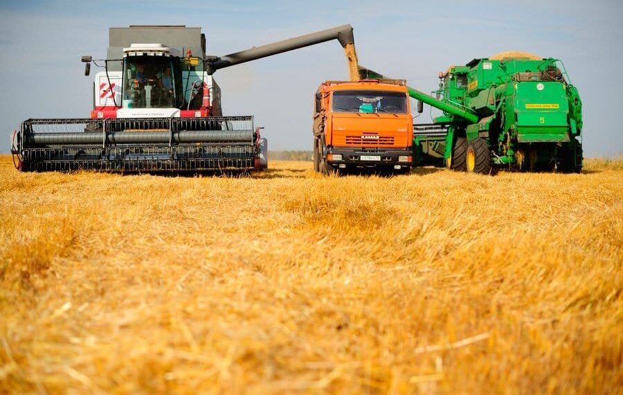 Egin jınaý naýqany aıaqtalýǵa jaqyn