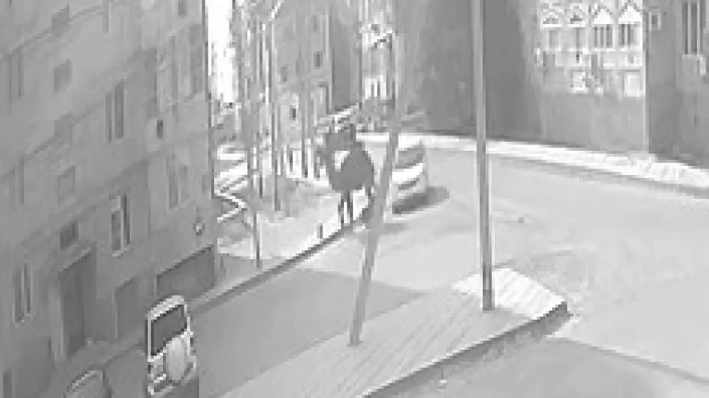 Atyraý oblysynda balany túıe taptap ketken