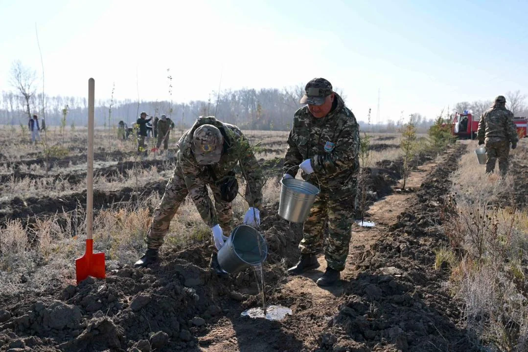 Semeıde orman tuqymbaǵy ashyldy