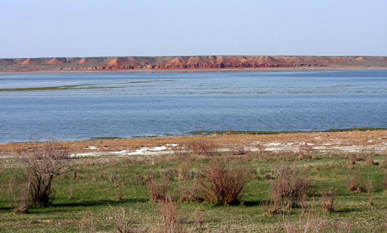 Qadiri qashqan Qyzylkól