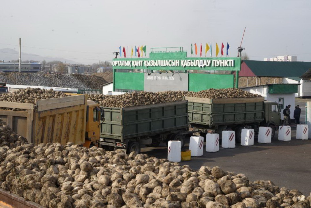 Aımaqtyń agroındýstrııalyq tiregi