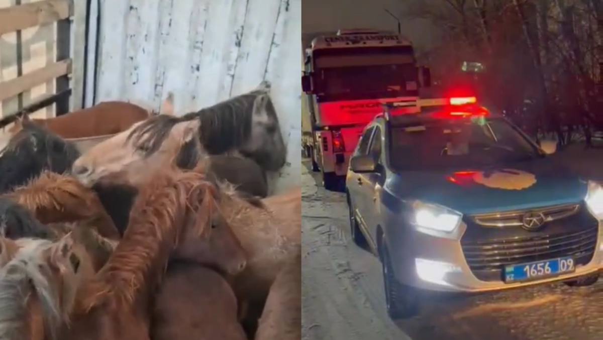 Jylqy urlaǵandar Qaraǵandyda ustaldy