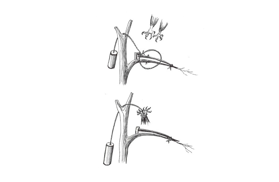 Shappa tuzaqpen búrkit ustaý