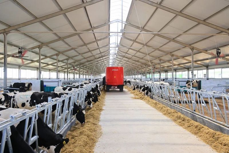 Qaraǵandy oblysynda azyq-túlik baǵasy qalaı turaqtandyrylmaq?