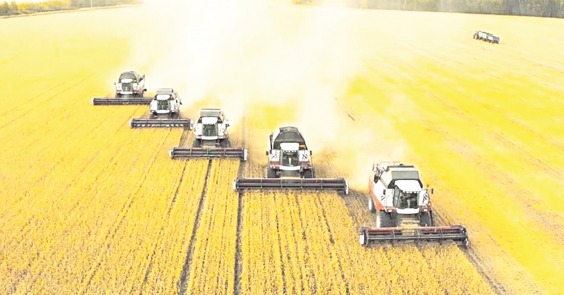 Astyq molaıyp, kóńil toǵaıdy