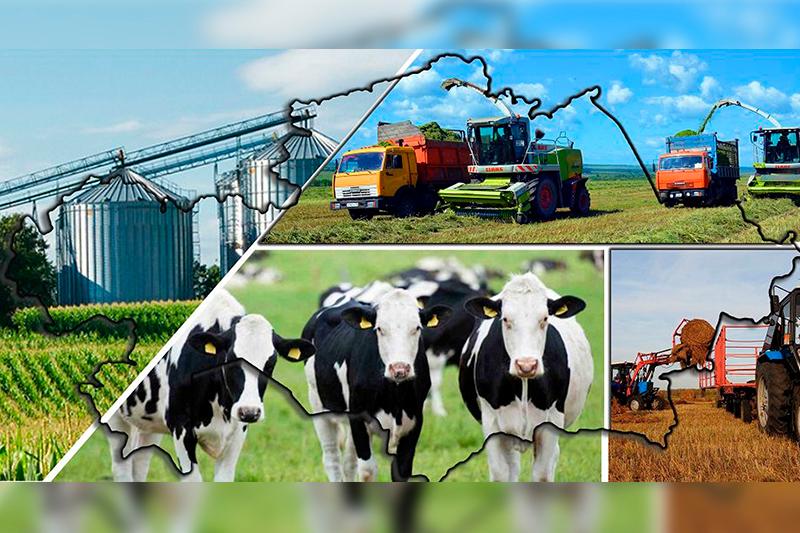 Qasym-Jomart Toqaev: Mal sharýashylyǵynyń áleýetin barynsha paıdalaný qajet