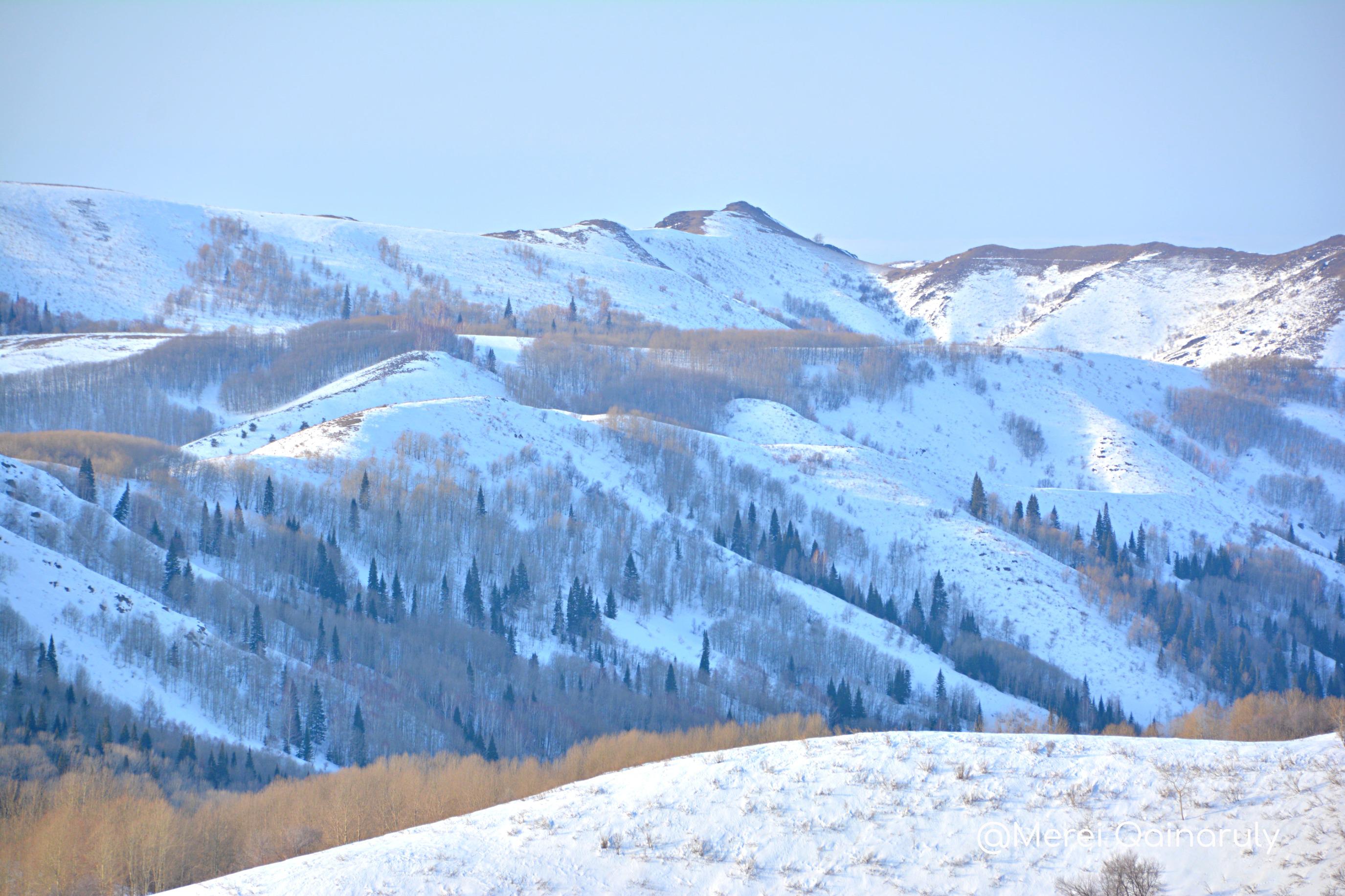 Rıdderde jyl boıy jumys isteıtin demalys kesheni ashylady