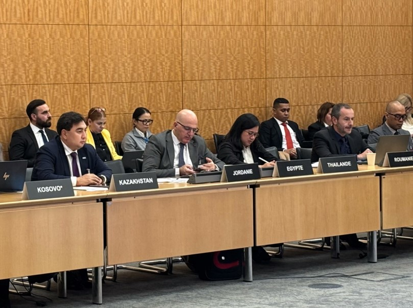 Basqarý salasyndaǵy yntymaqtastyq