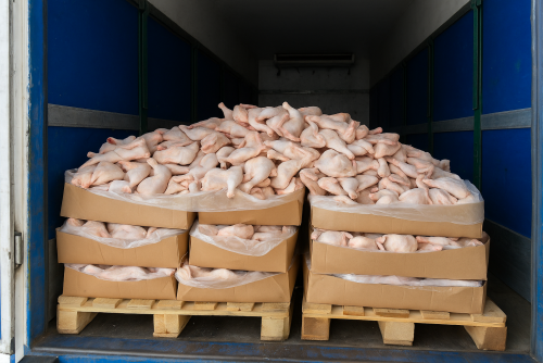 Reseıden 20 tonna qus etin zańsyz ákelmek bolǵan