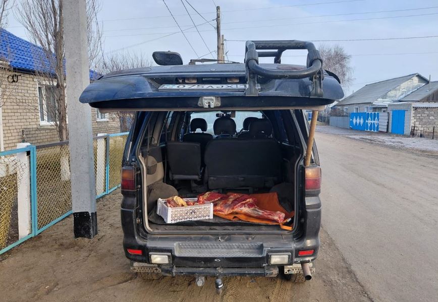 Qostanaı oblysynda mal urlyǵy jıilep barady