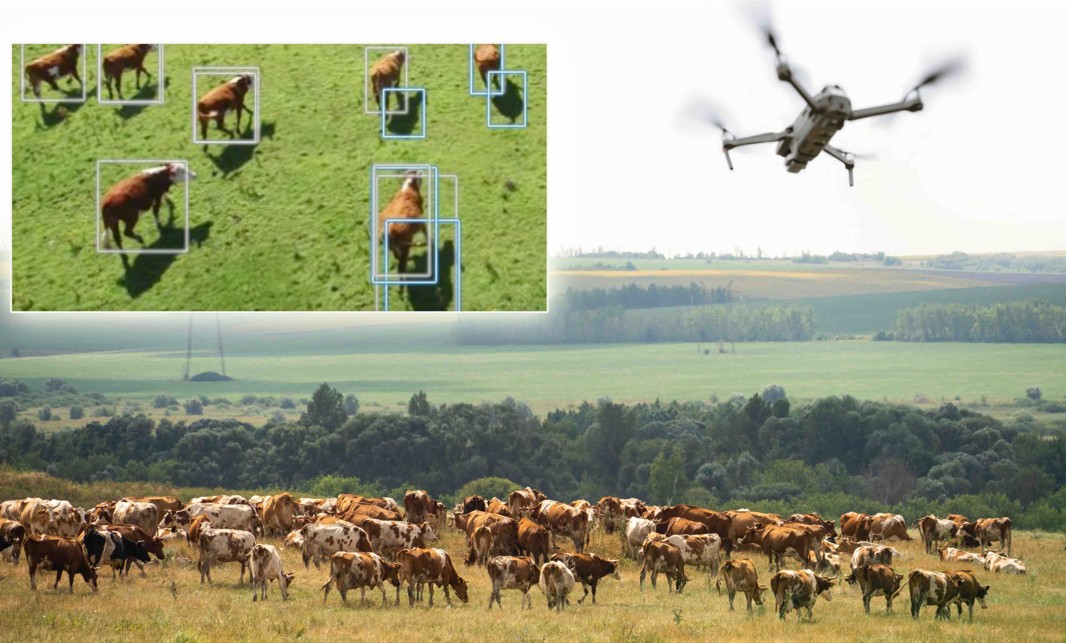 Dronmen mal baǵyp, GPS-pen baqylaıdy