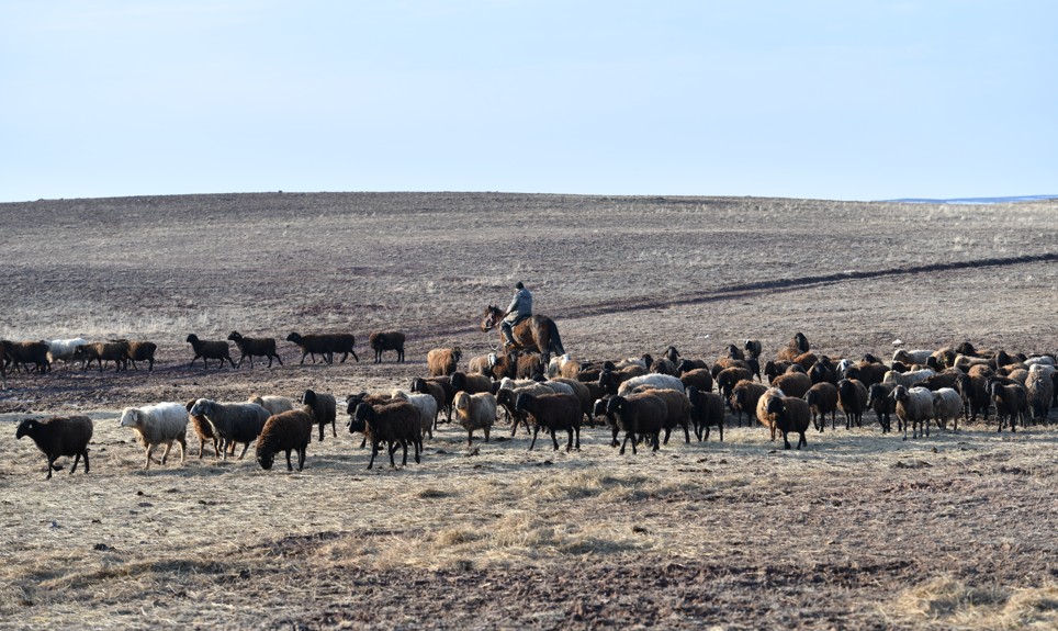 Jaıylym tarylyp barady
