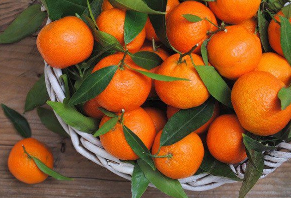 Balalarǵa eki danadan artyq bermeńiz: mandarındi kóp tutyný qaýipti