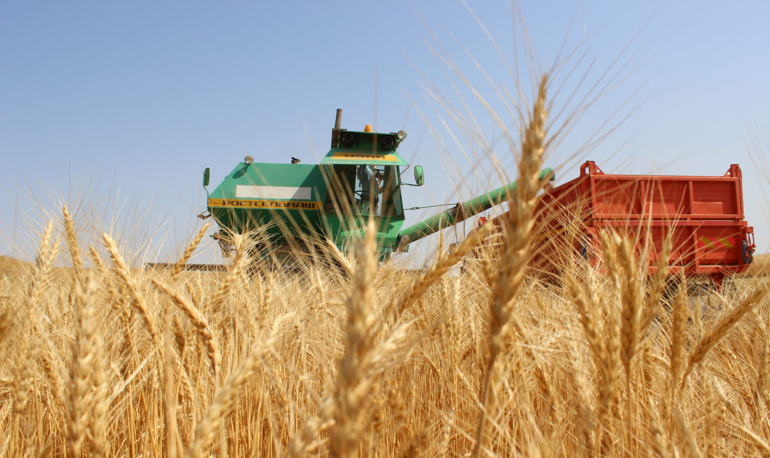 Bıyl rekordtyq astyq jınaldy