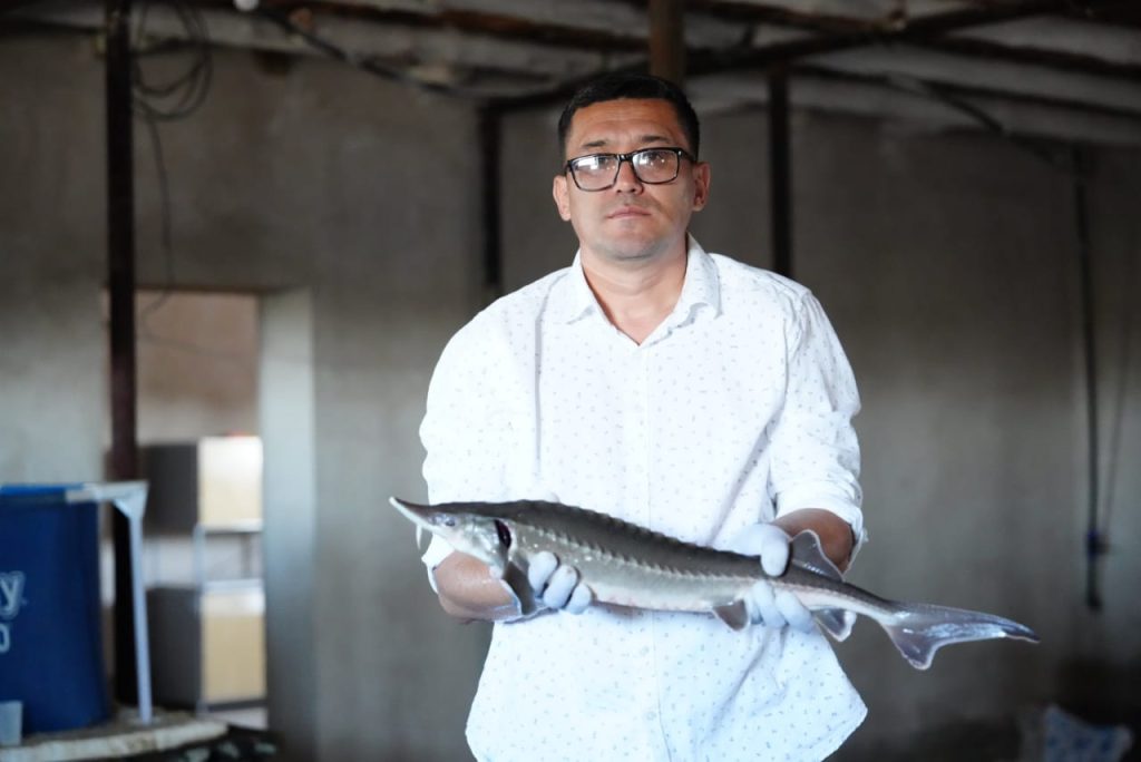 Bekireniń babyn tapqan