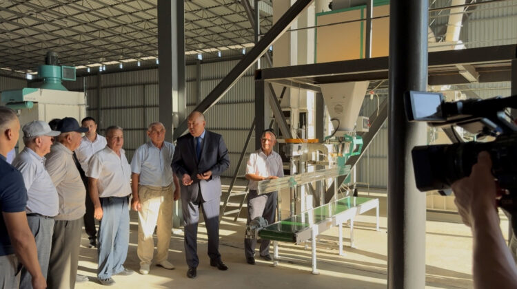 Jetistigi mol Jarkent